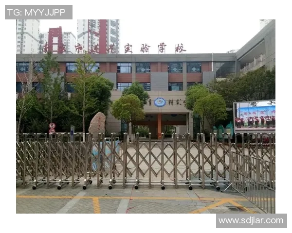 精英赛特别报道：南京羽毛球队的逆袭之旅