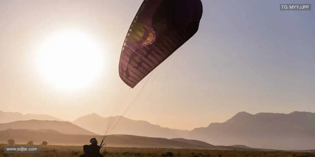 ⚽️ 赛事盛宴，激情永不落幕！